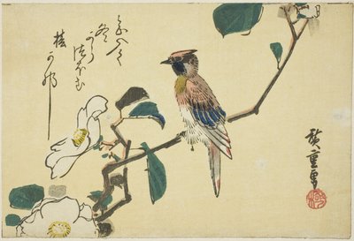Svartnackad oriole på kameliagren av Utagawa Hiroshige