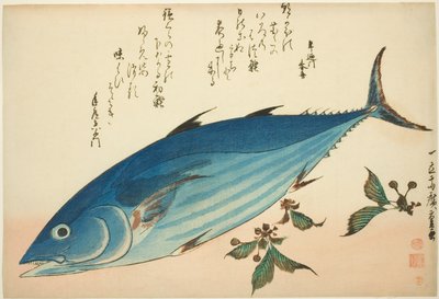 Bonito och saxifrage, från en namnlös serie fiskar av Utagawa Hiroshige