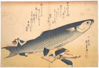 Bora-fisk med kamelia, ur serien Uozukushi (Alla slags fiskar) av Utagawa Hiroshige