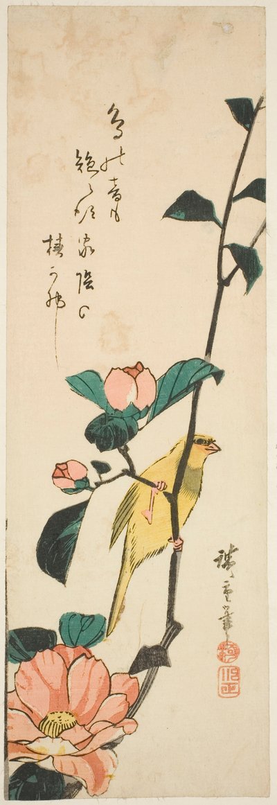 Kanarie och kamelia av Utagawa Hiroshige