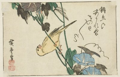 Kanarie och morgonhärlighet av Utagawa Hiroshige