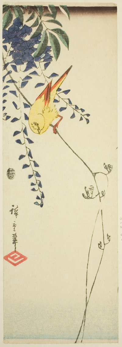 Kanarie och blåregn av Utagawa Hiroshige