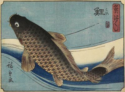 Karp, 1830-1844 av Utagawa Hiroshige