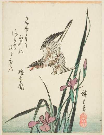 Göken flyger över iris av Utagawa Hiroshige