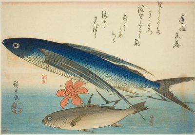 Flygfisk och Ichimochi, från en namnlös serie fiskar av Utagawa Hiroshige