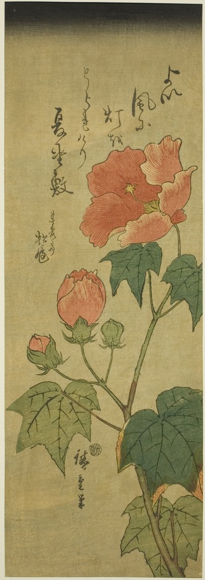 Hibiskus av Utagawa Hiroshige