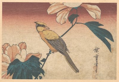 Hibiscus mutabilis och nötskrika av Utagawa Hiroshige