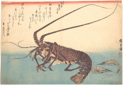 Ise-ebi och Shiba-ebi, ur serien Uozukushi (Alla sorters fisk) av Utagawa Hiroshige