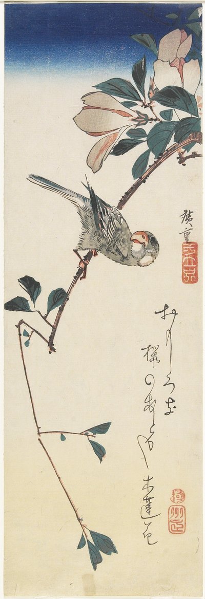 Java sparv och magnolia, 1834-1839 av Utagawa Hiroshige