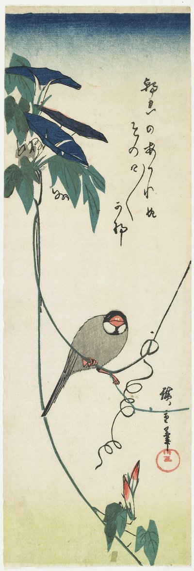 Java Sparrow and Morning Glories, 1834-1839 av Utagawa Hiroshige