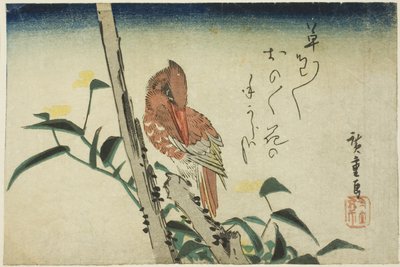 Kungsfiskare och dagblomma av Utagawa Hiroshige