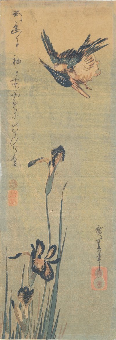 Kingfisher flyger över en Iris av Utagawa Hiroshige