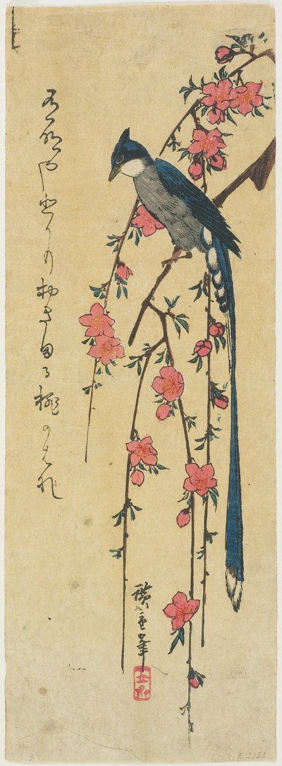 Långstjärtad fågel på blommande persikoträd av Utagawa Hiroshige