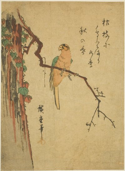 Ara på murgrönatäckt träd av Utagawa Hiroshige