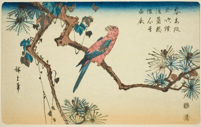 Ara på tallgren av Utagawa Hiroshige