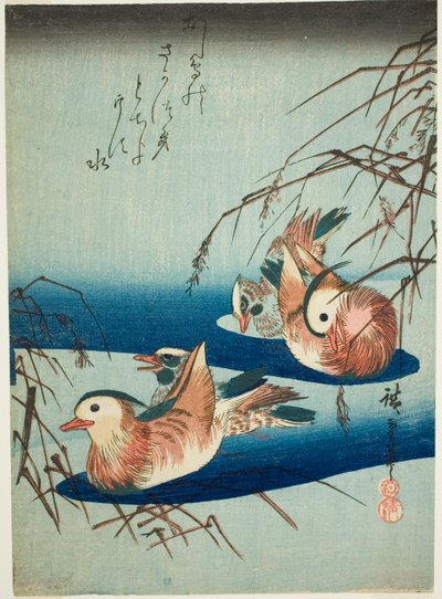 Mandarin ankor av Utagawa Hiroshige