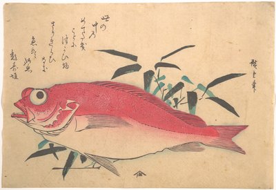Medetai-fisk och Sasaki-bambu, ur serien Uozukushi (Alla sorters fisk) av Utagawa Hiroshige