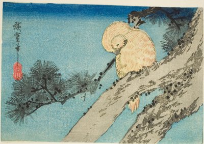 Uggla på tallgren av Utagawa Hiroshige