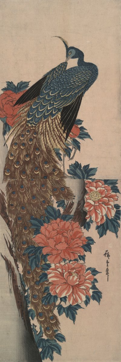 Påfågel och pioner av Utagawa Hiroshige