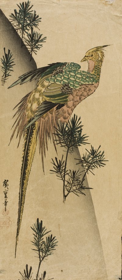 Fasan bland tallskott av Utagawa Hiroshige