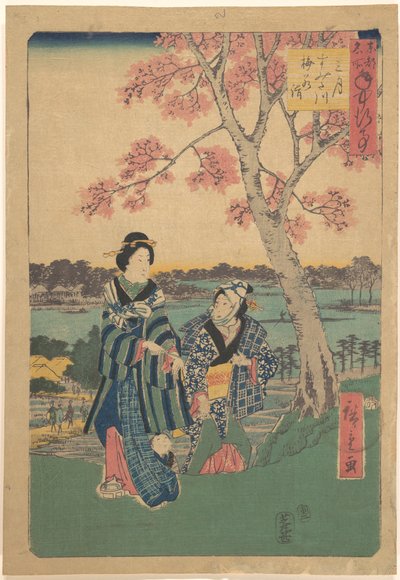 Beskådande av plommonblomning under den tredje månaden vid Sumidafloden, ur serien Årliga händelser på berömda platser i den östra huvudstaden (Tōto meisho nenjū gyōji sangatsu sumitagawa waka mōde) av Utagawa Hiroshige