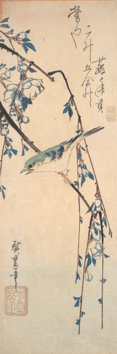 Rödflankerad blåsvans på en körsbärsgren av Utagawa Hiroshige