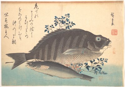 Shimadai- och ainamefiskar, ur serien Uozukushi (Alla sorters fisk) av Utagawa Hiroshige
