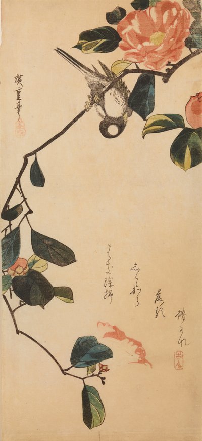 En mes på en kvist av en blommande kamelia / Tsubaki-ni shijukara av Utagawa Hiroshige