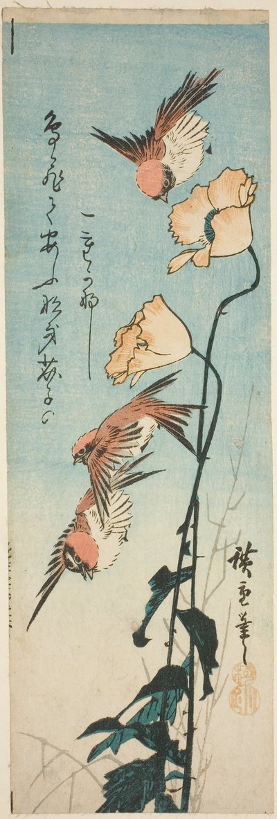 Sparvar och vallmo av Utagawa Hiroshige