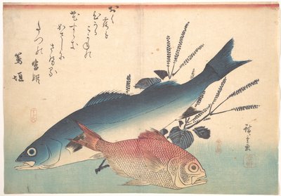 Suzuki- och kinmedaifiskar ur serien Uozukushi (Alla sorters fisk) av Utagawa Hiroshige
