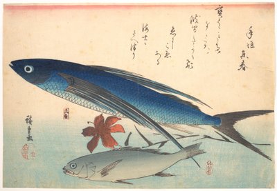 Tobiuo- och ishimotchi-fiskar, ur serien Uozukushi (Alla sorters fisk) av Utagawa Hiroshige