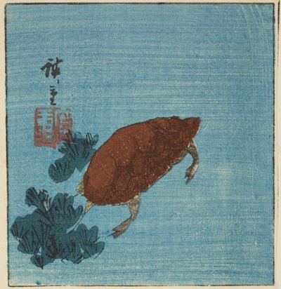 Sköldpadda av Utagawa Hiroshige