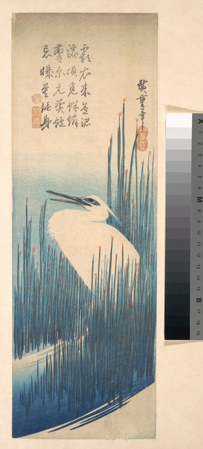 Weißer Reiher zwischen Schilf av Utagawa Hiroshige