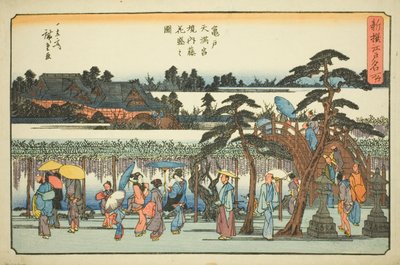 Blåregn i full blom i området kring Kameido Tenmangu-helgedomen (Kameido Tenmangu keidai fuji hanazakari no zu), från serien "Newly Selected Famous Places in Edo (Shinsen Edo meisho)" av Utagawa Hiroshige
