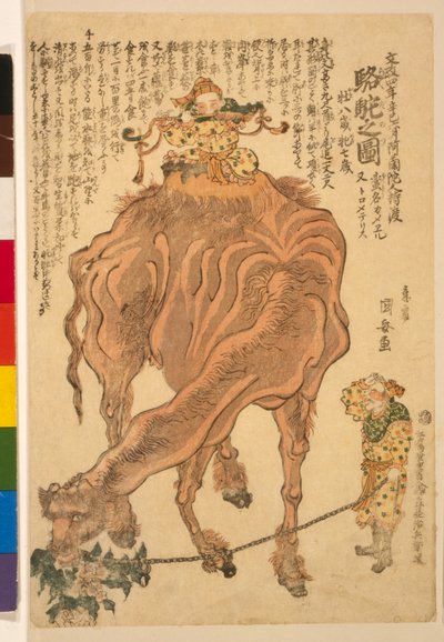 En kamel, pub. 1824 (handfärgat träsnitt) av Utagawa Kuniyasu