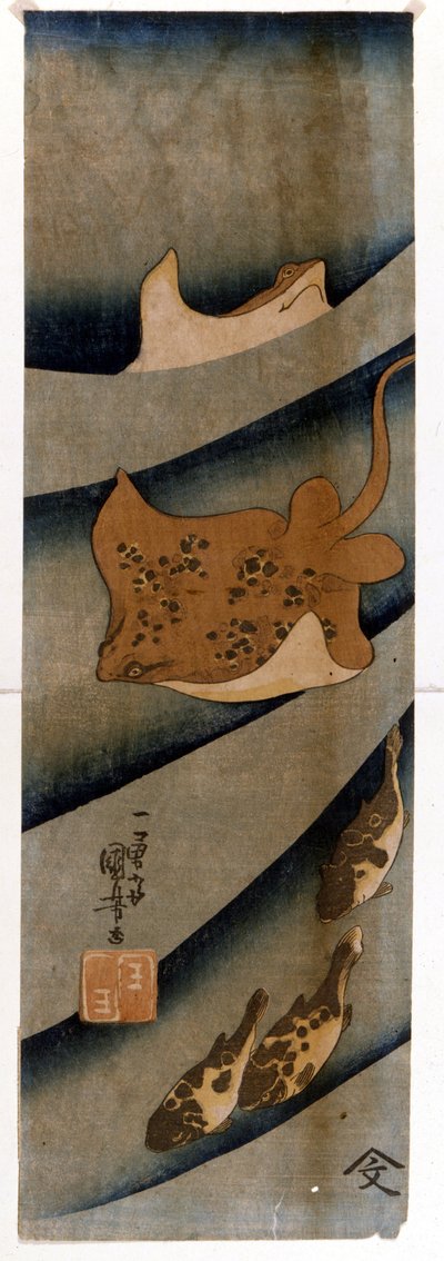 Tryck av Utagawa KUNIYOSHI (1797-1861) föreställande fisken. av Utagawa Kuniyoshi