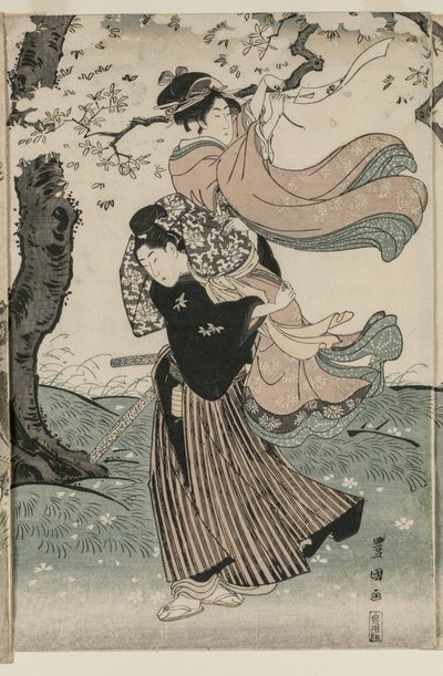 Körsbärsblommor i vinden av Utagawa Toyokuni
