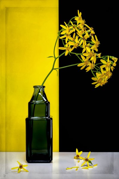 Gula blommor – modern kontrast av Vadim Kulinsky