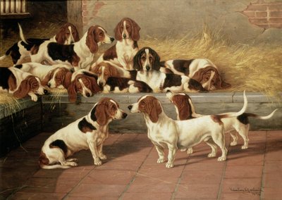 Basset Hounds in a Kennel, 1894 av Valentine Thomas Garland