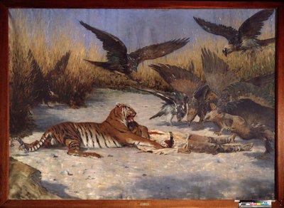 En människoätare - Målning av Vasili Vasilyevich Vereshchagin (Vassili Vereshchagin) (1842-1904), olja på duk, cirka 1870-1880, rysk konst 1800-talet - Regionala W Wereshchagin Art Museum, Mykolaiv (Ukraina) av Vasili Vasilievich Vereshchagin