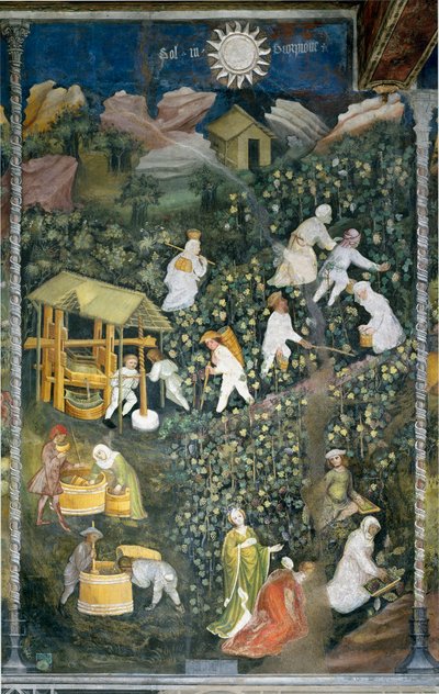 Oktober: skördeplats, skörd av druvor och beredning av mout (vinpressning). Målning av Månadernas Mästare eller Mästare Wenceslas (Maestro dei Mesi eller Maestro Wenceslao på italienska, början av 1400-talet) restaurerade av Marcello Fogolino ca. av Venceslao Maestro