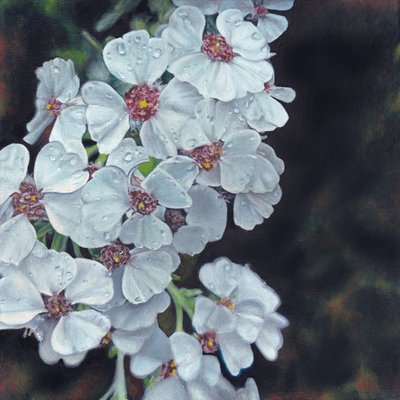 Daggkyssta vita blommor av Viccy Wanliss