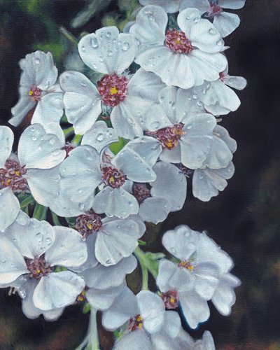 Vita blommor och daggdroppar av Viccy Wanliss