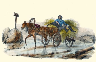 Le Paysan Russe. i "" Album Grotesque, Choices of Outstanding Types", illustrationer av Victor Adam, Paris, cirka 1850. av Victor Adam