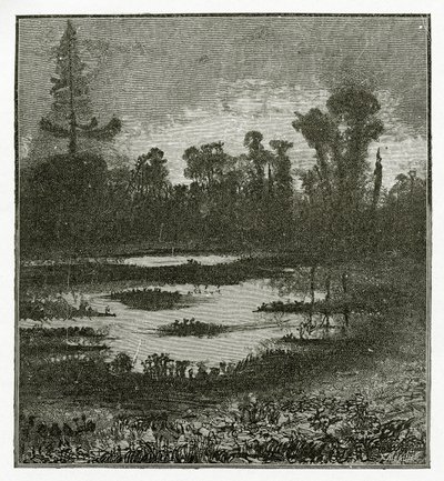 Les Chants du Crépuscule, 1800-talet (bw gravyr) av Victor Hugo