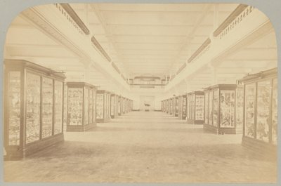 Pl. III. Huvudsaklig berättelse: Fåglar av Victor Prevost, Gaston L. Feuardent and Co., New York