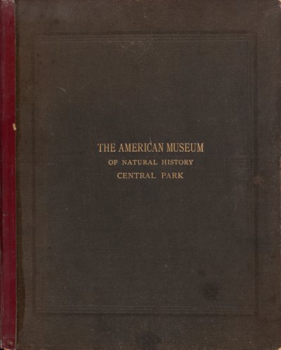 Det fotografiska albumet från American Museum of Natural History, Central Park, New York City av Victor Prevost, Gaston L. Feuardent and Co., New York