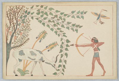 Rådjuret och vinrankan, Illustration till Aesops fabler av Victor Wilbour