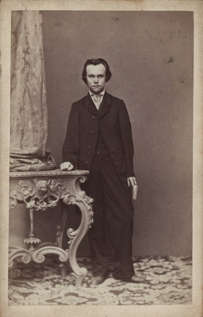 Porträtt av tonsättaren Anton Rubinstein 1829-1894. av Vienna . Photo studio Franz Schultz