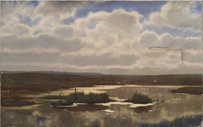 Hede med myr av Vilhelm Groth